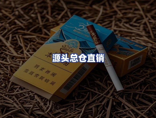 专业团队